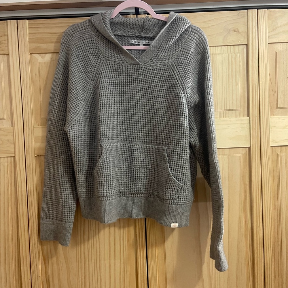 Celebrity Pink Gray Hooded Sweater